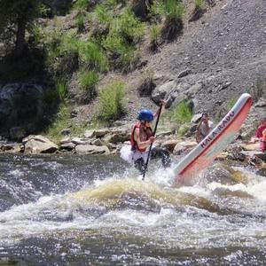Meet your Posher, Clara
